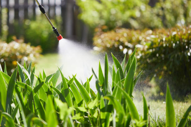 24/7 Emergency Mosquito Control experts in Peppermill Village, MD